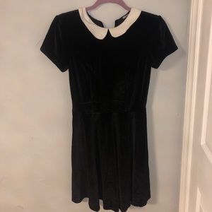 Collared Velvet Dress